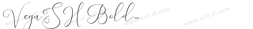 VegaSH Bold字体转换